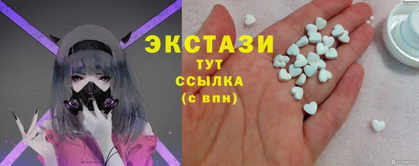 МДПВ Бородино