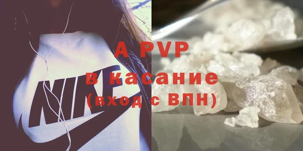 МДПВ Бородино