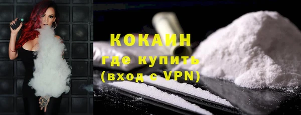 МДПВ Бородино