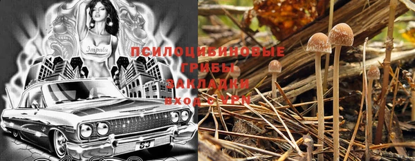 МДПВ Бородино