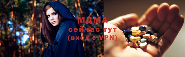 МДПВ Бородино