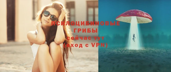 МДПВ Бородино