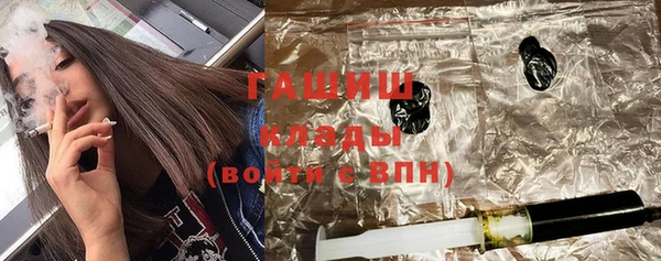 МДПВ Бородино