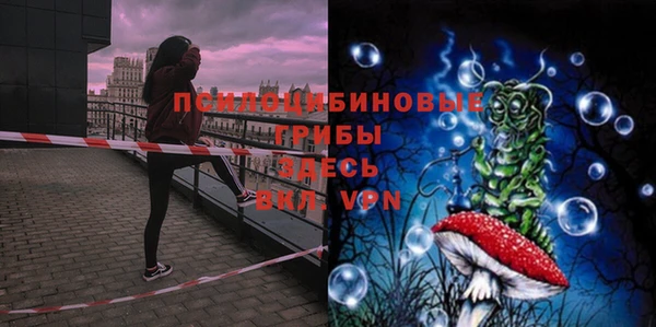 МДПВ Бородино