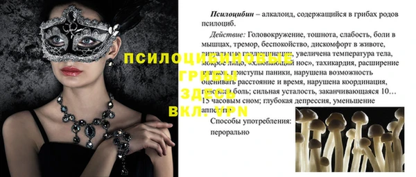 МДПВ Бородино