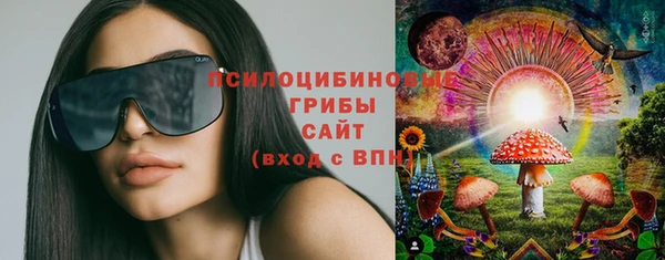 МДПВ Бородино