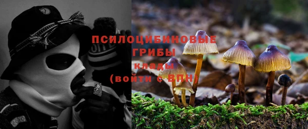 спиды Пестово