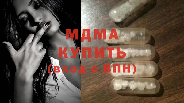 МДПВ Бородино